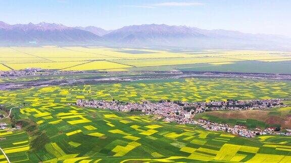 青藏高原农田的美景