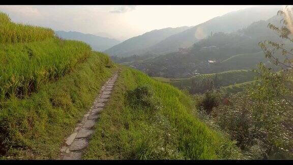 龙脊梯田