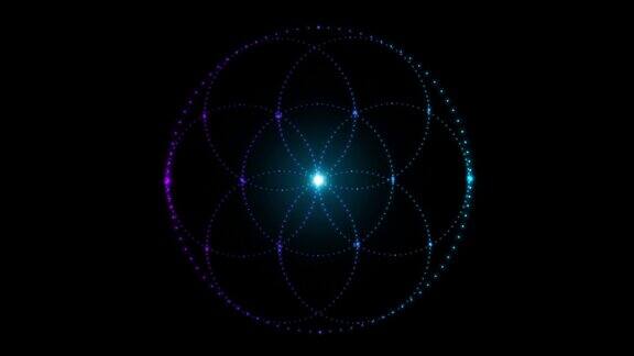 生命之花由霓虹灯闪烁的小点灯泡有一个美丽而光滑的渐变孤立在黑色的背景神圣几何学4k循环视频动画60fps