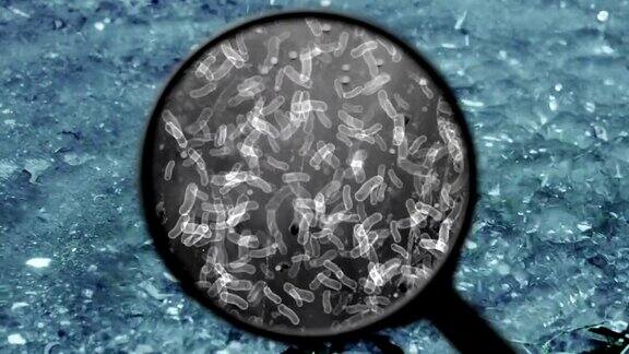 寻找水中的细菌