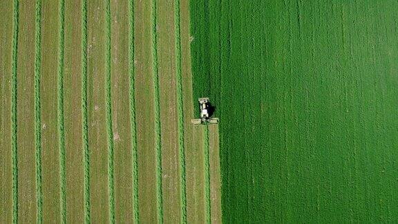 农民在拖拉机上割新鲜的绿草做干草或饲料空中俯视图