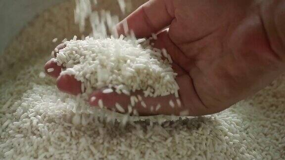 从碾米机中流出的米手等待从碾米机接收米粒
