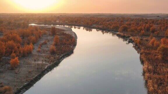 塔里木河流经塔克拉玛干沙漠河两岸是胡杨林
