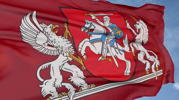 狮鹫独角兽和骑士立陶宛国旗的过去国家象征标志