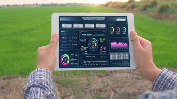 农民在水稻农场中使用数字平板通过科学技术和可视化图形显示实现绿色水稻有机智能农场控制