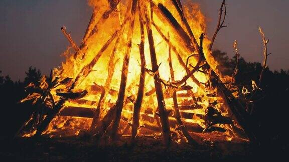 大篝火的树枝在夜晚燃烧在森林里慢动作