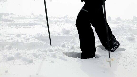 HDSTOCK:一群老年人在越野滑雪时