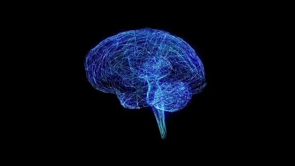 用电脉冲连接人类大脑突触Loopable生物学背景