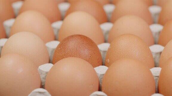 鸡蛋挤压机充满新鲜鸡蛋在黑色的背景