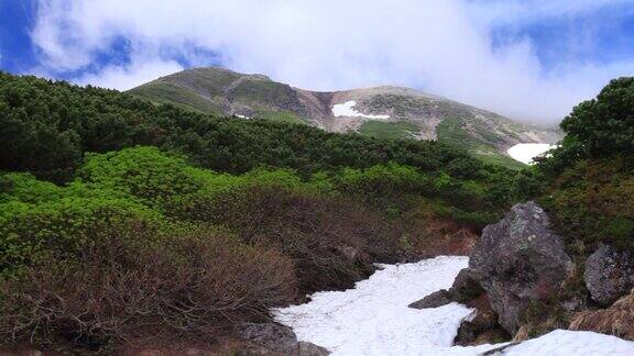 雲が湧く乗鞍岳の位ヶ原の新緑と残雪