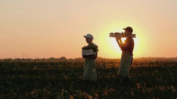 两个农民在田里扛着装着蔬菜的箱子