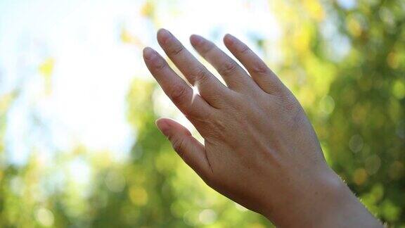 日落时女性的手特写阳光透过手指