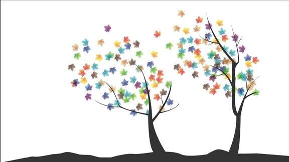 五颜六色的树叶秋天的颜色从树上落下