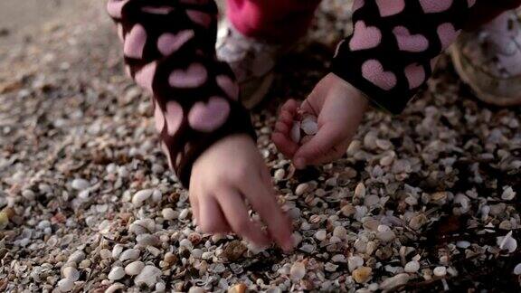 小女孩在海滩上收集贝壳