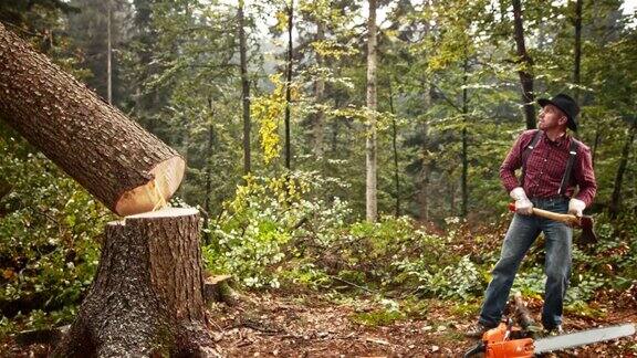 伐木工人拿着斧头看着一棵树倒下