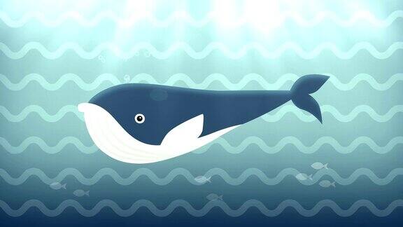 蓝鲸在水下游泳