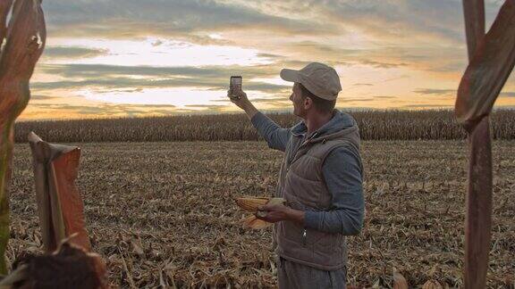 法默女士在日落时分与田里的玉米自拍