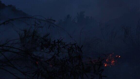 夜间干旱时的野火特写农业燃烧农田产生的烟雾和空气污染