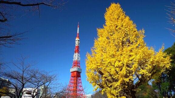 银杏树与东京塔