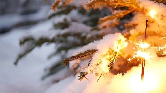 圣诞树在雪地里烟火闪耀新年或圣诞节孟加拉灯