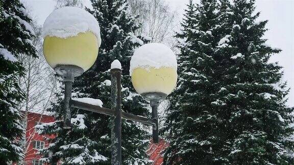 雪落在一盏路灯上