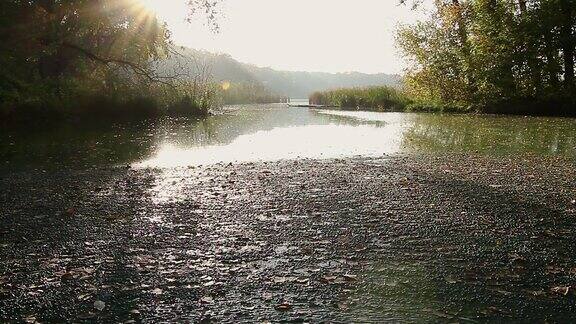 秋天日出时落叶落在宁静的湖面上