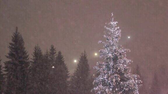 圣诞树和雪花落在森林的背景