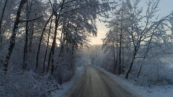 空中镜头:在雾濛濛的冬日夕阳下通往令人毛骨悚然的白雪森林的空旷雾蒙蒙的道路