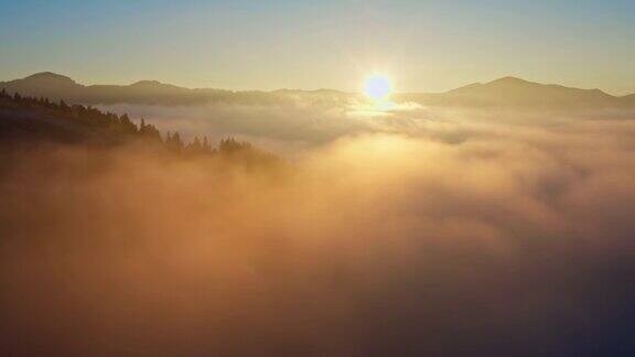 雾太阳森林山神奇美丽的早晨自然旅行