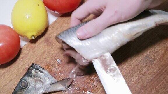 大西洋鲱鱼片的准备厨师用特制的钳子取出骨头质量检查