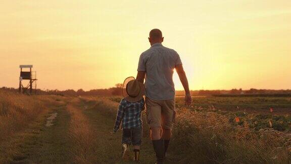 日落时分父子俩一起在田野里散步