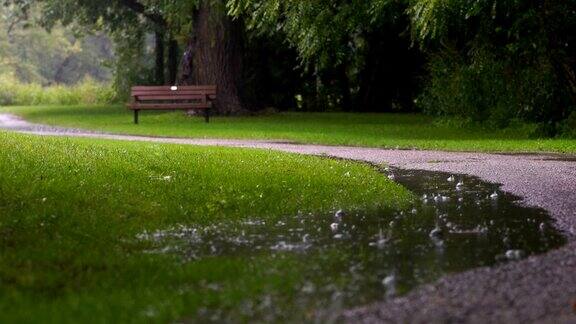 多伦多公园的雨天