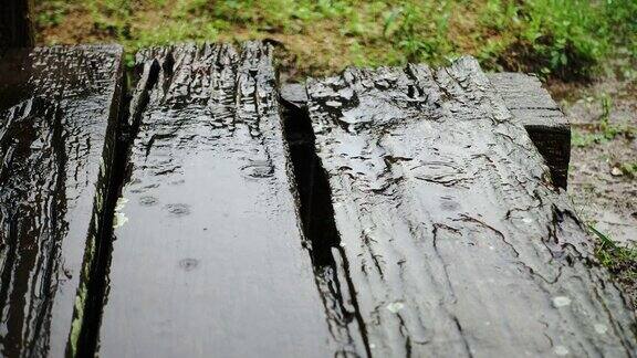 雨季4K雨落木勺