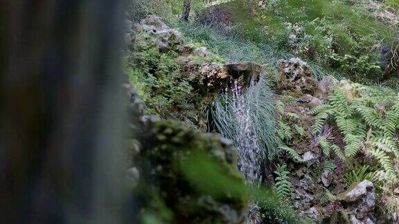 小瀑布在山上绿色的森林
