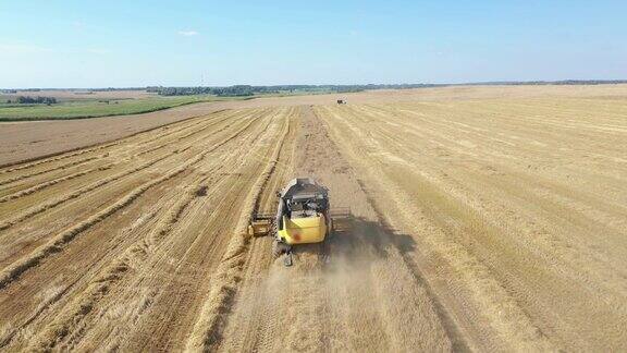 收割机在农业田野鸟瞰图中收集成熟的大麦谷粒