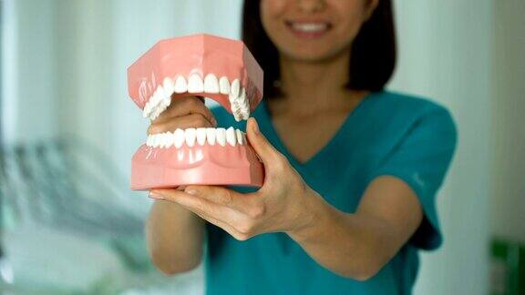 友善的医生展示下颌模型专业的牙医服务健康的牙齿