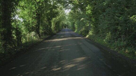 清晨漫步在北爱尔兰乡间小路上