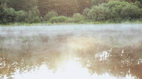 森林中美丽的自然景观雾白烟飘过水面湖面平静