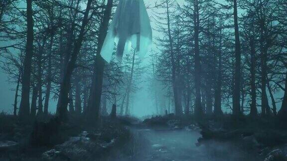 循环夜晚可怕的森林与飞行的鬼魂