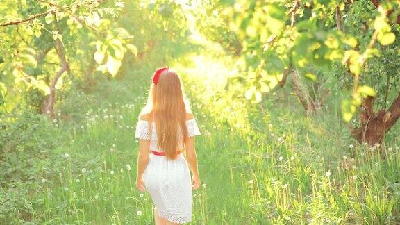在一个阳光明媚的日子里在森林里散步女孩穿着白色的裙子走路后视图