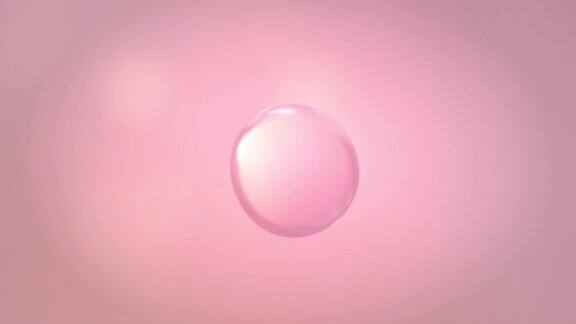 粉红色气泡细胞结合