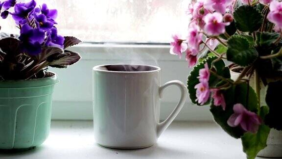 一杯咖啡一杯茶一杯热饮在窗台旁边的一盆漂亮的家里花