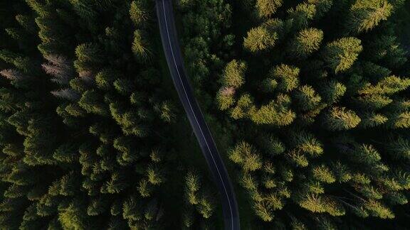 森林公路旅行从无人机的视角