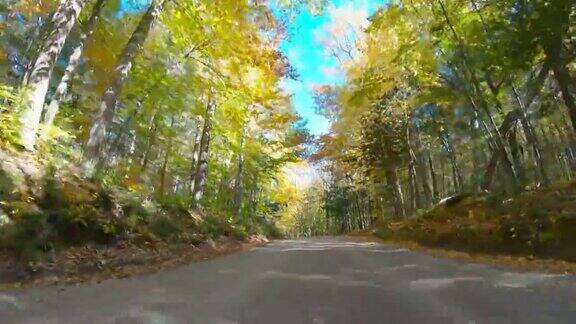 新罕布什尔州白山的秋天路