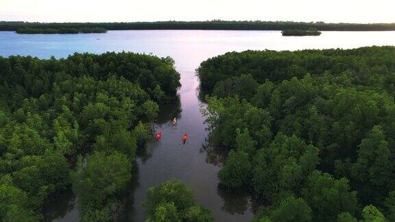 日落场景鸟瞰组游客旅行者或研究人员划桨划艇在淡水河湖发现和探索植物园热带地区的自然攀牙省泰国