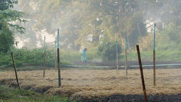 洒水器在花园里洒水农学家在种植园喷洒农药田间喷灌系统工作水对人类和农业都是有用的