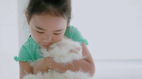 一个女孩抱着一只白色毛茸茸的猫
