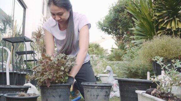 年轻女子在花园里工作照料花草