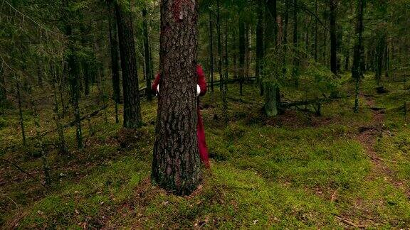 圣诞老人躲在树林里的树后面