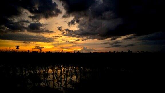 泰国稻田里的日落